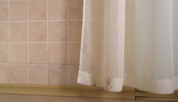 Best Mold Removal for HVAC Installations  in Welby, CO