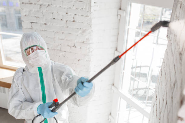 Best HVAC Mold Inspection and Cleaning  in Welby, CO