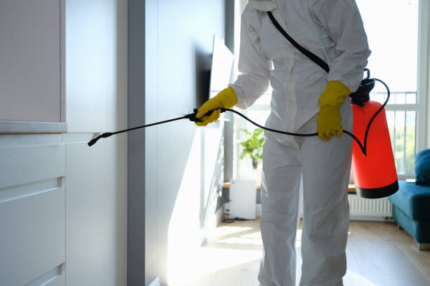 Best Mold Odor Removal Services  in Welby, CO