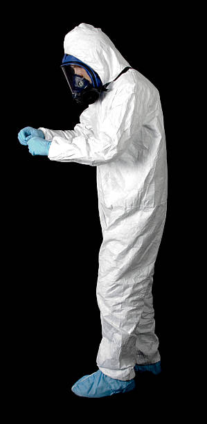 Best Attic Mold Removal  in Welby, CO